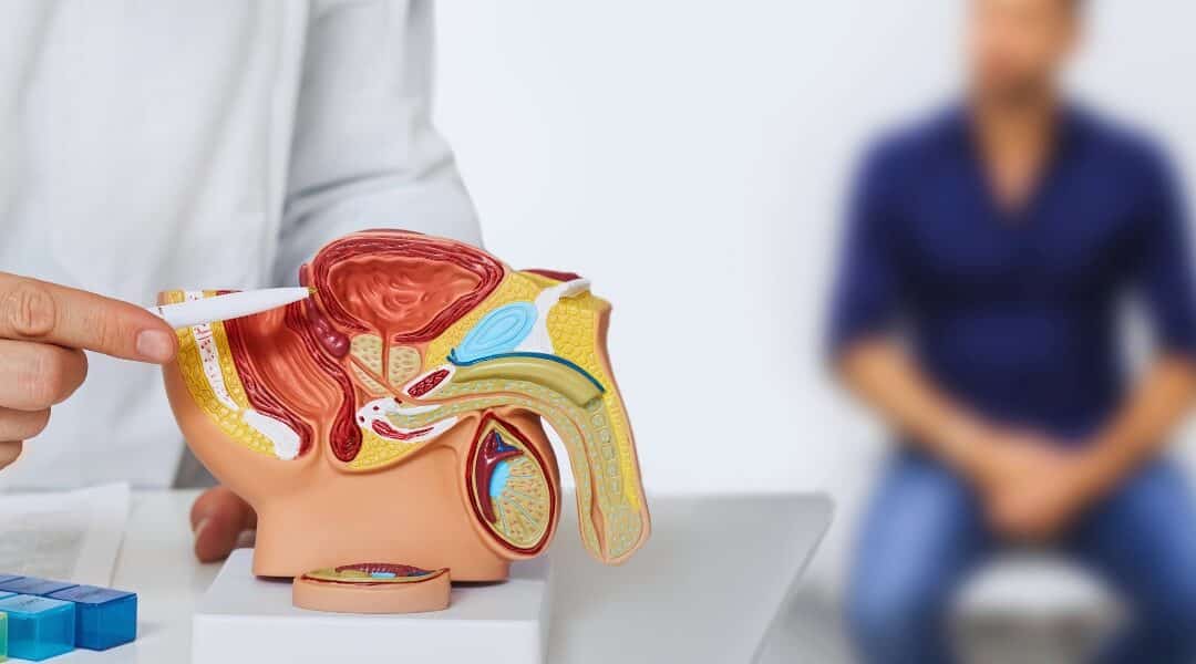 Conheça um pouco mais sobre o Câncer de Próstata