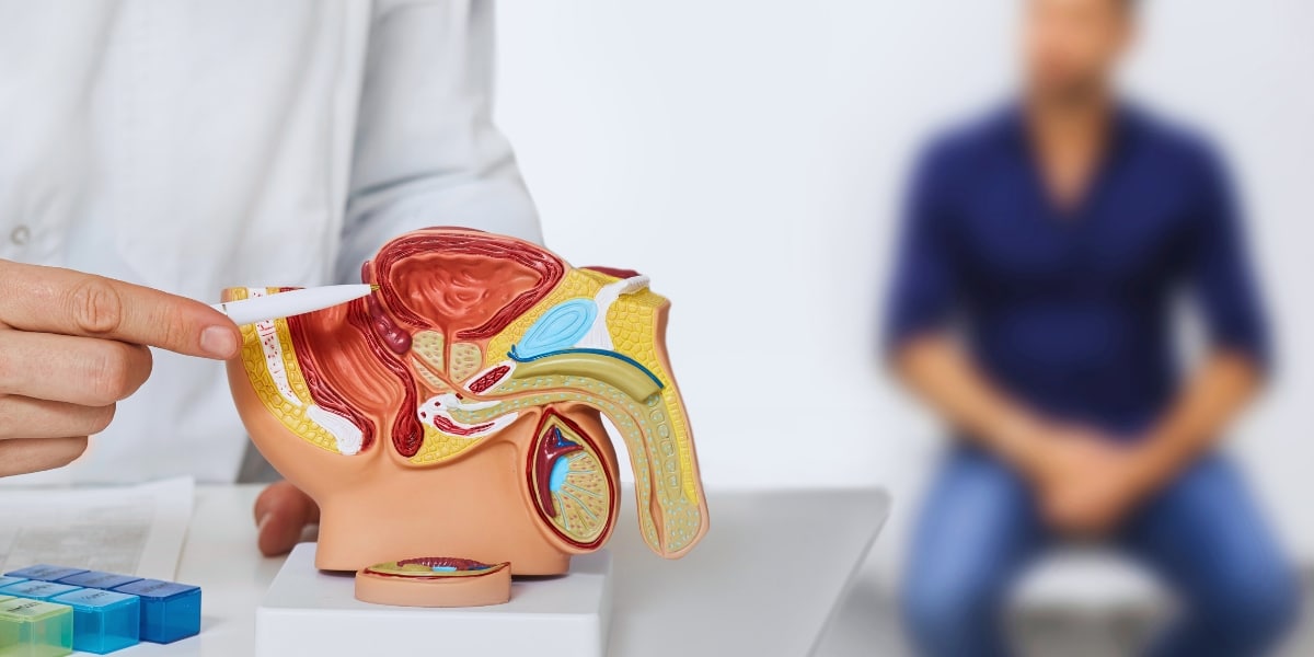 Conheça um pouco mais sobre o Câncer de Próstata