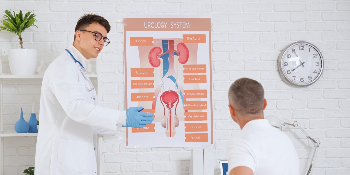 Urologia: a especialidade e o papel do urologista na saúde